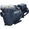 Pompe Auto-amorçante 1 Cv Avec Préfiltre - 18m3/h 1 Pompe Auto-amorçante 1 Cv Avec Préfiltre - 18m3/h -Piscine Soldes 148936 1