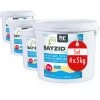 4 X 5 Kg Bayzid Pastilles De Chlore Multifonction (20g) 2 4 X 5 Kg Bayzid Pastilles De Chlore Multifonction (20g) -Piscine Soldes 2579560 1