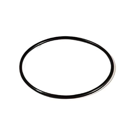 Orion Joint Pour Filtre PROTEO 3 Orion Joint Pour Filtre PROTEO