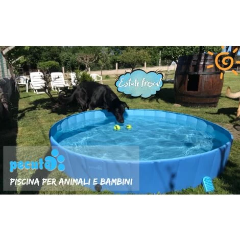 Pecute Piscine Pour Chien L 120x30cm, Baignoire Chien Pliable Plus Robuste, Piscine Enfant Pour Jardin, Patio Ou Salle De Bain, Piscine Animaux Résistant à L'usure(Bleu) 7 Pecute Piscine Pour Chien L 120x30cm, Baignoire Chien Pliable Plus Robuste, Piscine Enfant Pour Jardin, Patio Ou Salle De Bain, Piscine Animaux Résistant à L'usure(Bleu) – Image 5