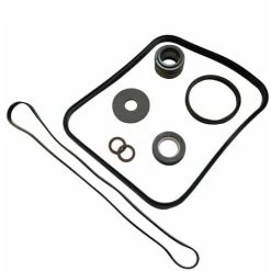 Pack De Joints De Remplacement Pour Pompe Super Pump - SPX1600GS - Noir - Hayward