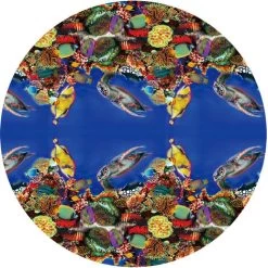 Piscine Auto Transparente ø 2,44m X76cm SUMMER WAVES 7 Piscine Auto Transparente ø 2,44m X76cm SUMMER WAVES -Piscine Soldes 55486895 3