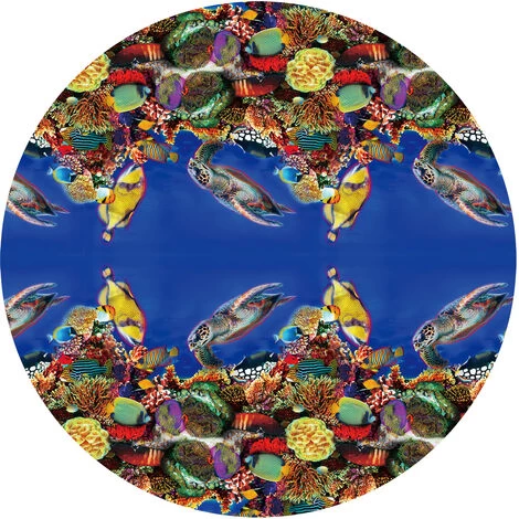 Piscine Auto Transparente ø 2,44m X76cm SUMMER WAVES 5 Piscine Auto Transparente ø 2,44m X76cm SUMMER WAVES – Image 3