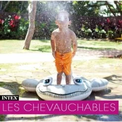 Tortue Gonflable Intex Lil' Sea Turtle -Piscine Soldes 6466836 3