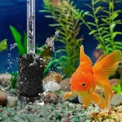 OAAO 12 Packs Brosse En Mousse De Queue Robot Pour Polaris 180, 280, 360, 380, 480, 3900 Sport,Queue De Rechange Pour Nettoyeur De Piscine Polaris Vac-Sweep Pour Tuyau De Balayage Haute Densité 11 OAAO 12 Packs Brosse En Mousse De Queue Robot Pour Polaris 180, 280, 360, 380, 480, 3900 Sport,Queue De Rechange Pour Nettoyeur De Piscine Polaris Vac-Sweep Pour Tuyau De Balayage Haute Densité -Piscine Soldes 87199367 5