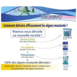 Traitement Algues Moutarde MAREVA Pour Piscine Infectée - 1 Kg - 150088U 5 Traitement Algues Moutarde MAREVA Pour Piscine Infectée - 1 Kg - 150088U -Piscine Soldes 91675408 2