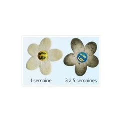 Water Lily Purificateur D'eau - Boite De 6 Fleurs Absorbantes 8 Water Lily Purificateur D'eau - Boite De 6 Fleurs Absorbantes -Piscine Soldes 97093342 3
